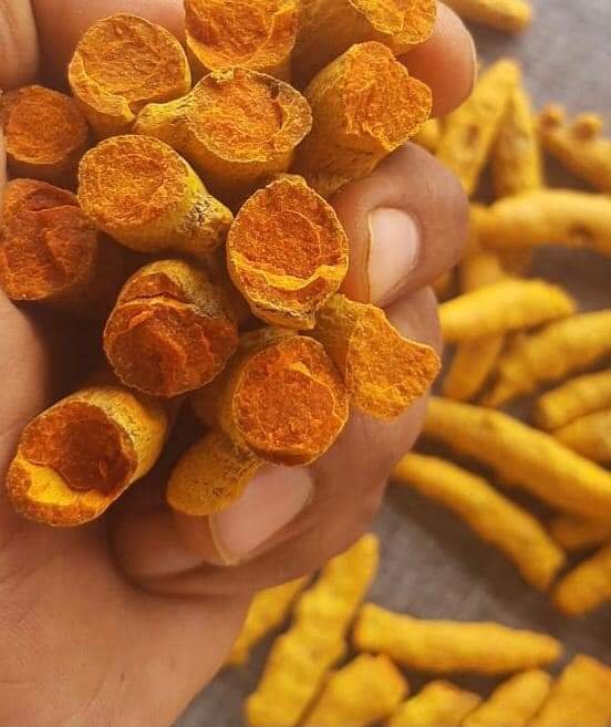 Turmeric